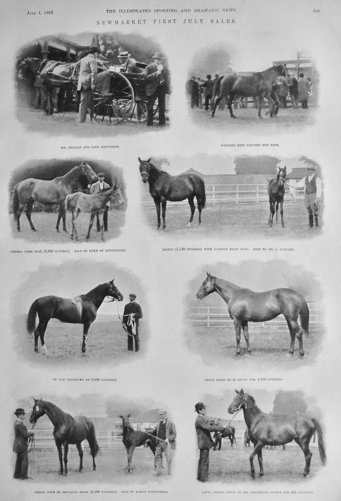 Newmarket First July Sales.  1899.