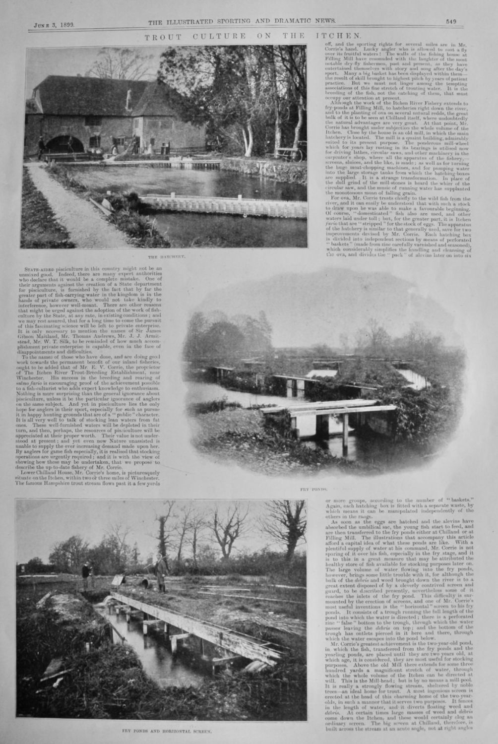 Trout Culture on the Itchen.  1899.
