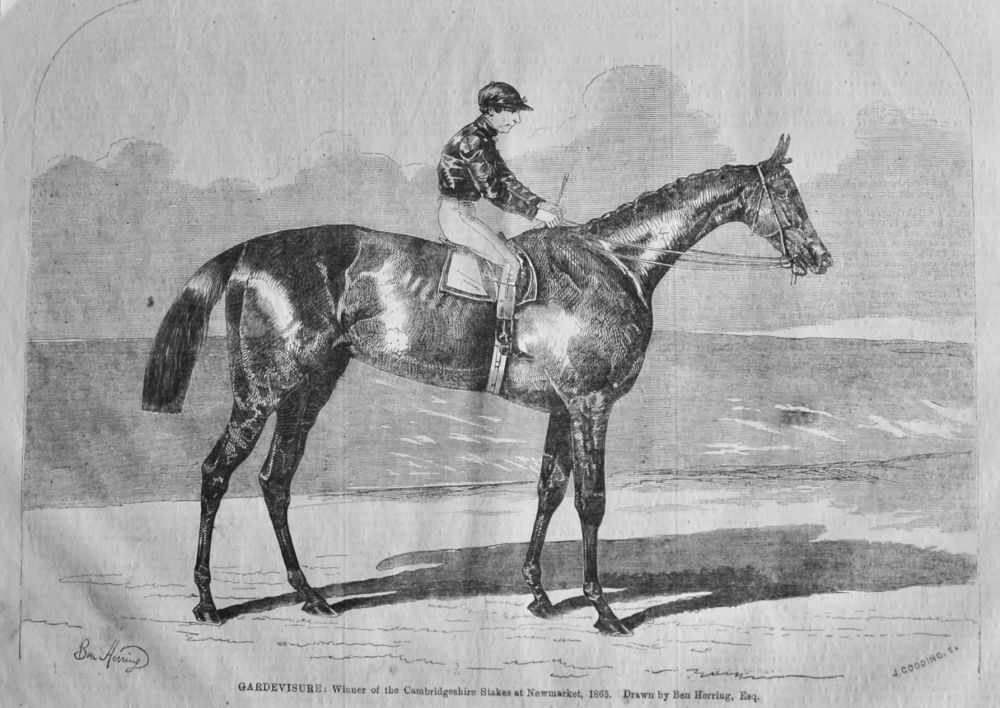 Gardevisure : Winner of the Cambridgeshire Stakes at Newmarket, 1865. 
