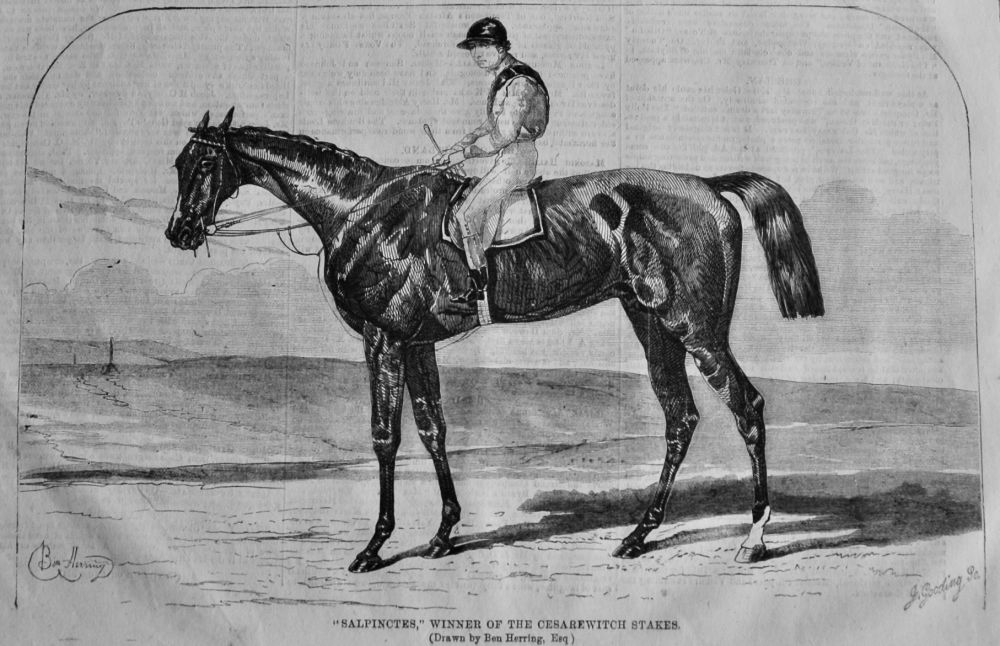 "Salpinctes," winner of the Cesarewitch Stakes. 1865.
