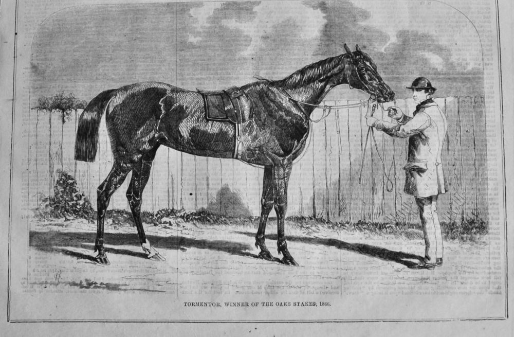 Tormentor, Winner of the Oaks Stakes, 1866.