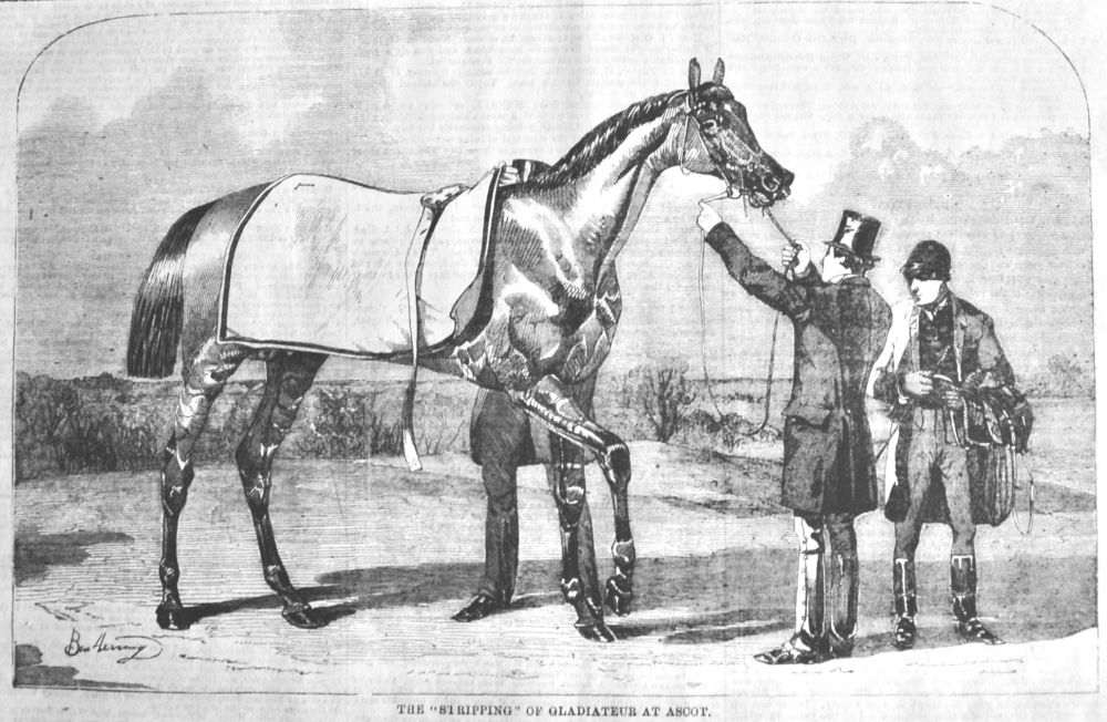 The "Stripping" of Gladiateur at Ascot. 1866.
