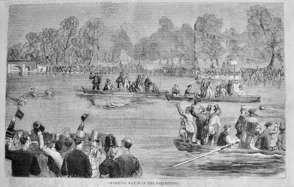 Swimming Match in the Serpentine.  1866.