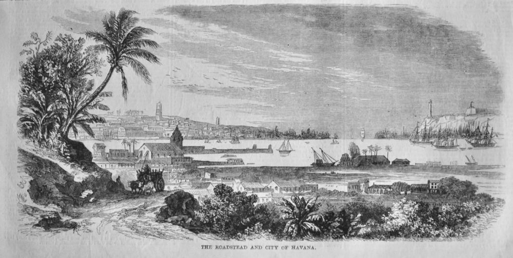 The Roadstead and City of Havana.  1858.