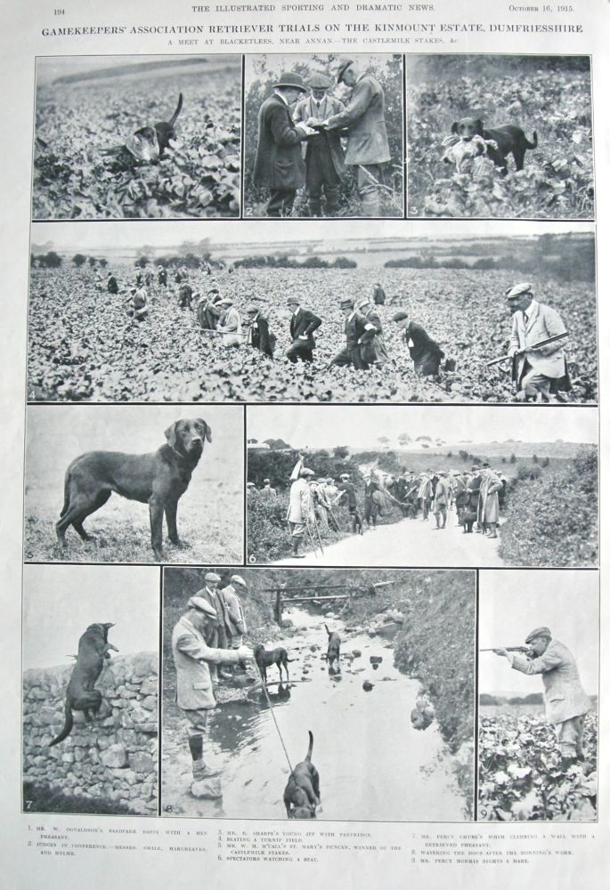 Gamekeepers' Association Retriever Trials on the Kinmount Estate, Dumfriesshire.  1915.