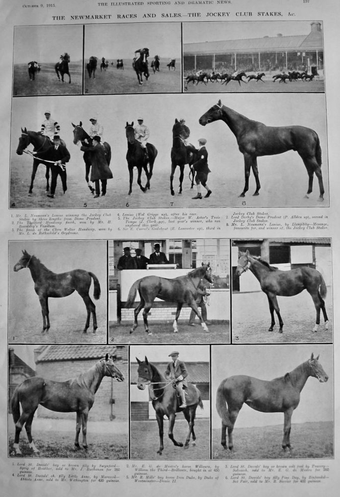 The Newmarket Races and Sales.- The Jockey Club Stakes. & c.  1915.