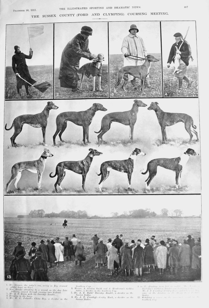 The Sussex County (Ford and Clymping) Coursing Meeting.  1915.