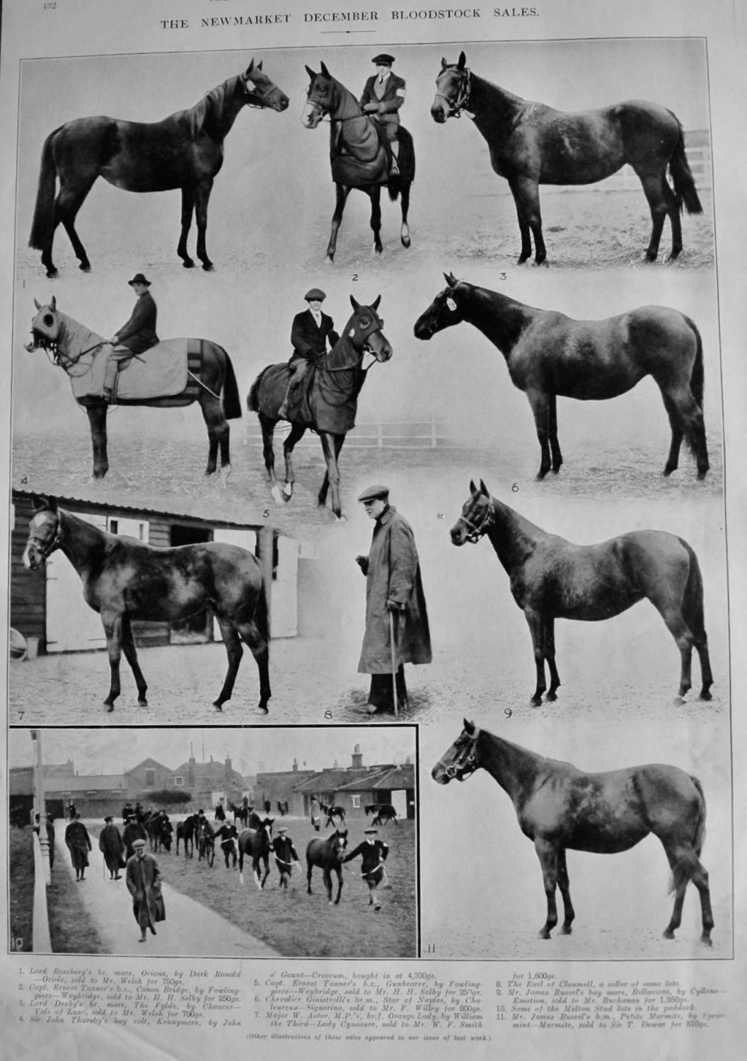 The Newmarket December Bloodstock Sales. 1915. (Page 1).