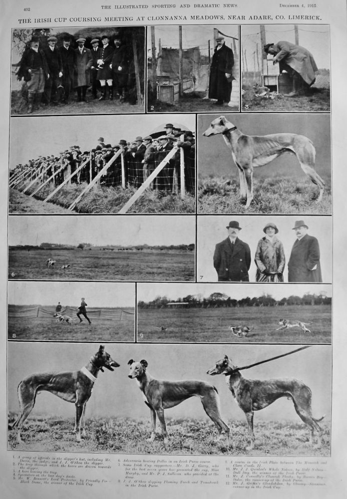 The Irish Cup Coursing Meeting at Clonnanna Meadows, near Adare, Co. Limerick.  1915.