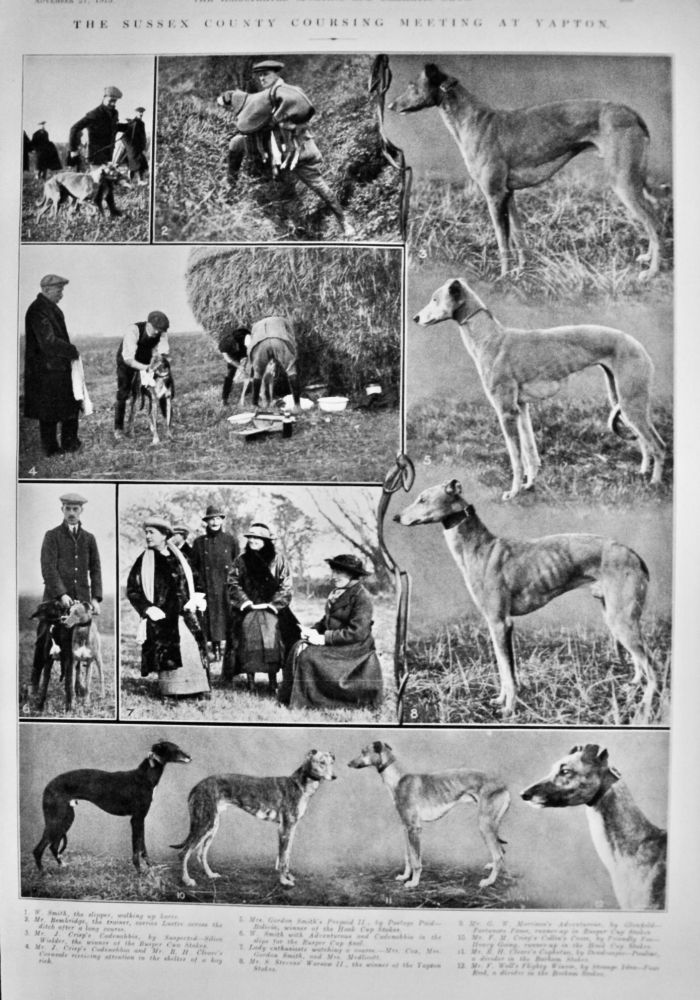The Sussex County Coursing Meeting at Yapton.  1915.