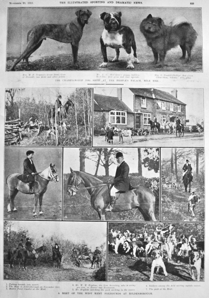 A Meet of the West Kent Foxhounds at Hildenborough. 1915.