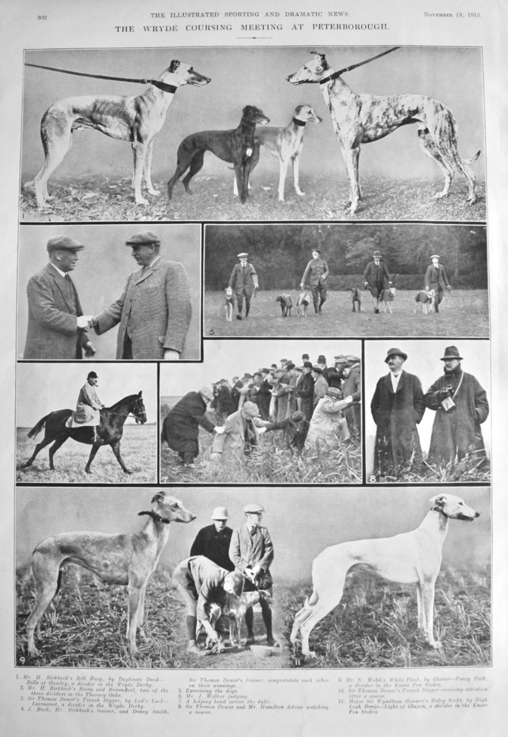 The Wryde Coursing Meeting at Peterborough.  1915.