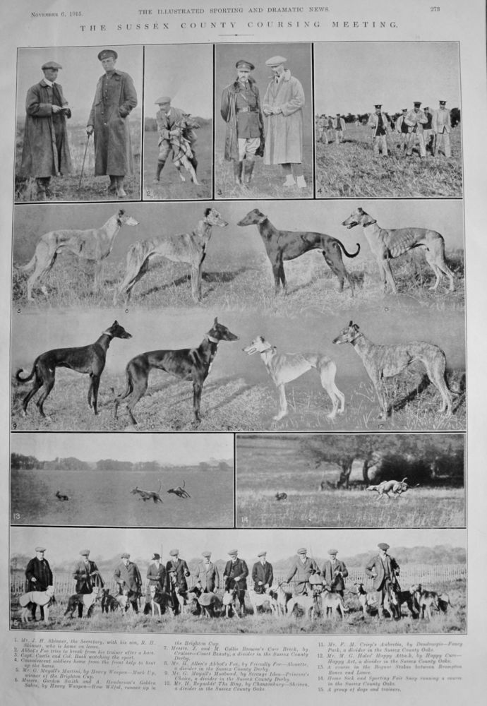 The Sussex County Coursing Meeting.  1915.