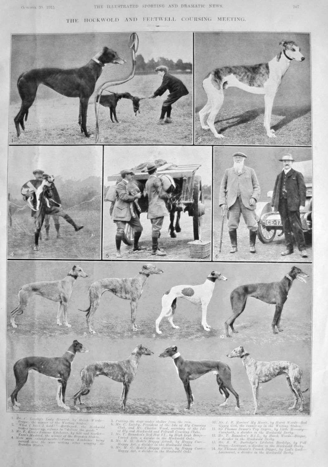 The Hockwold and Feltwell Coursing Meeting.  October 1915.