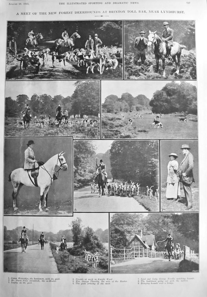 A Meet of the New Forest Deerhounds at Brinton Toll Bar, near Lyndhurst.  1915.