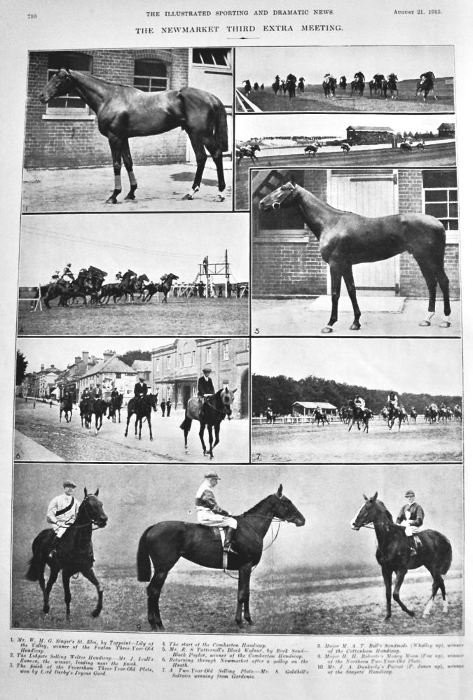 The Newmarket Third Extra Meeting. August 1915.
