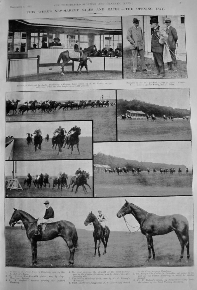 This Week's Newmarket Sales and Races.- the Opening Day.  1915.