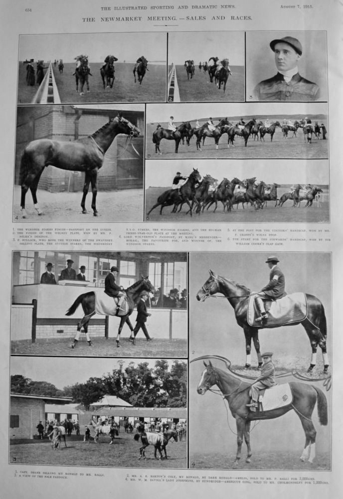 The Newmarket Meeting.- Sales and Races.  1915.