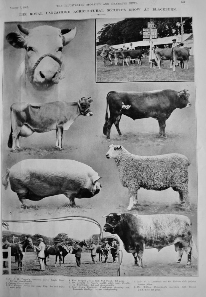 The Royal Lancashire Agricultural Society's show in Blackburn.  1915.