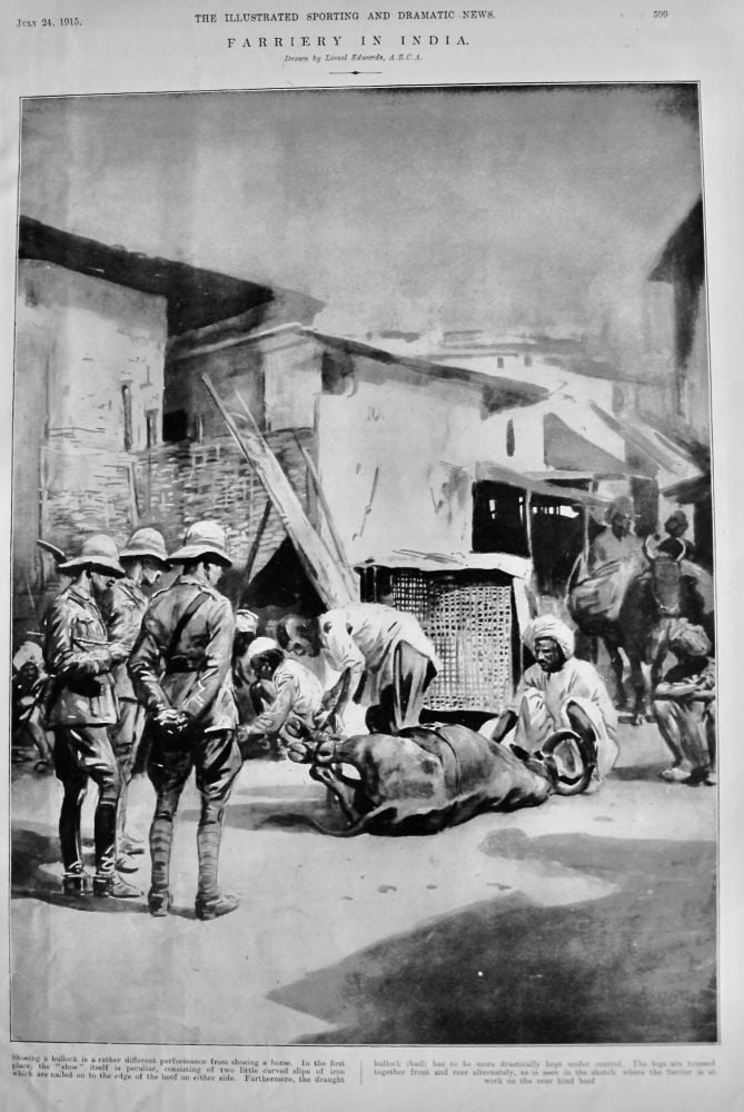 Farriery in India. 1915.