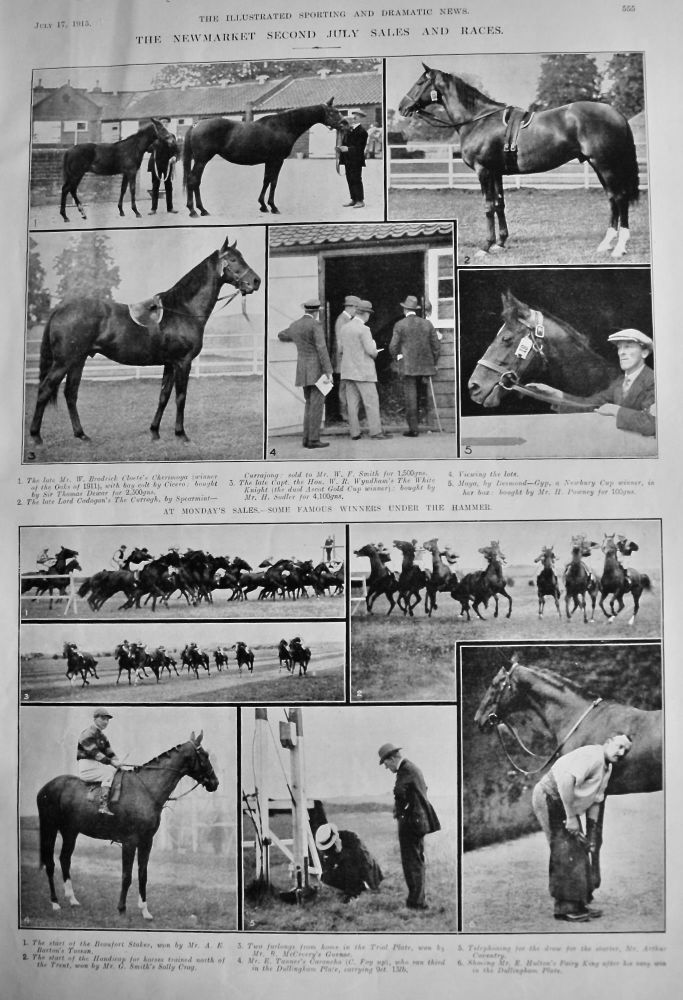 The Newmarket Second July Sales and Races.  1915.