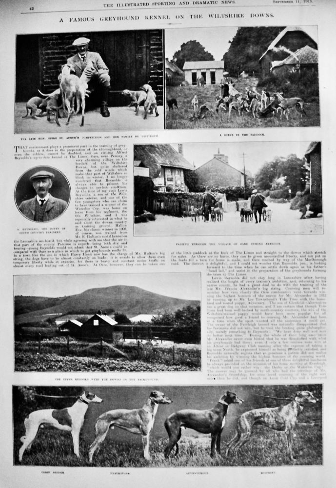 A Famous Greyhound Kennel on the Wiltshire Downs.  1915.