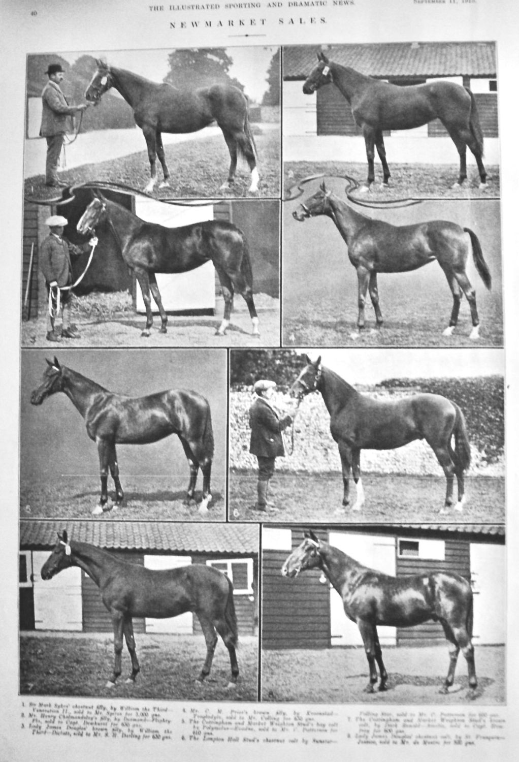 Newmarket Sales.  September 1915.