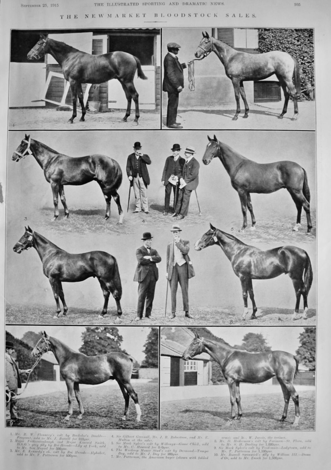 The Newmarket Bloodstock Sales.  September  1915.