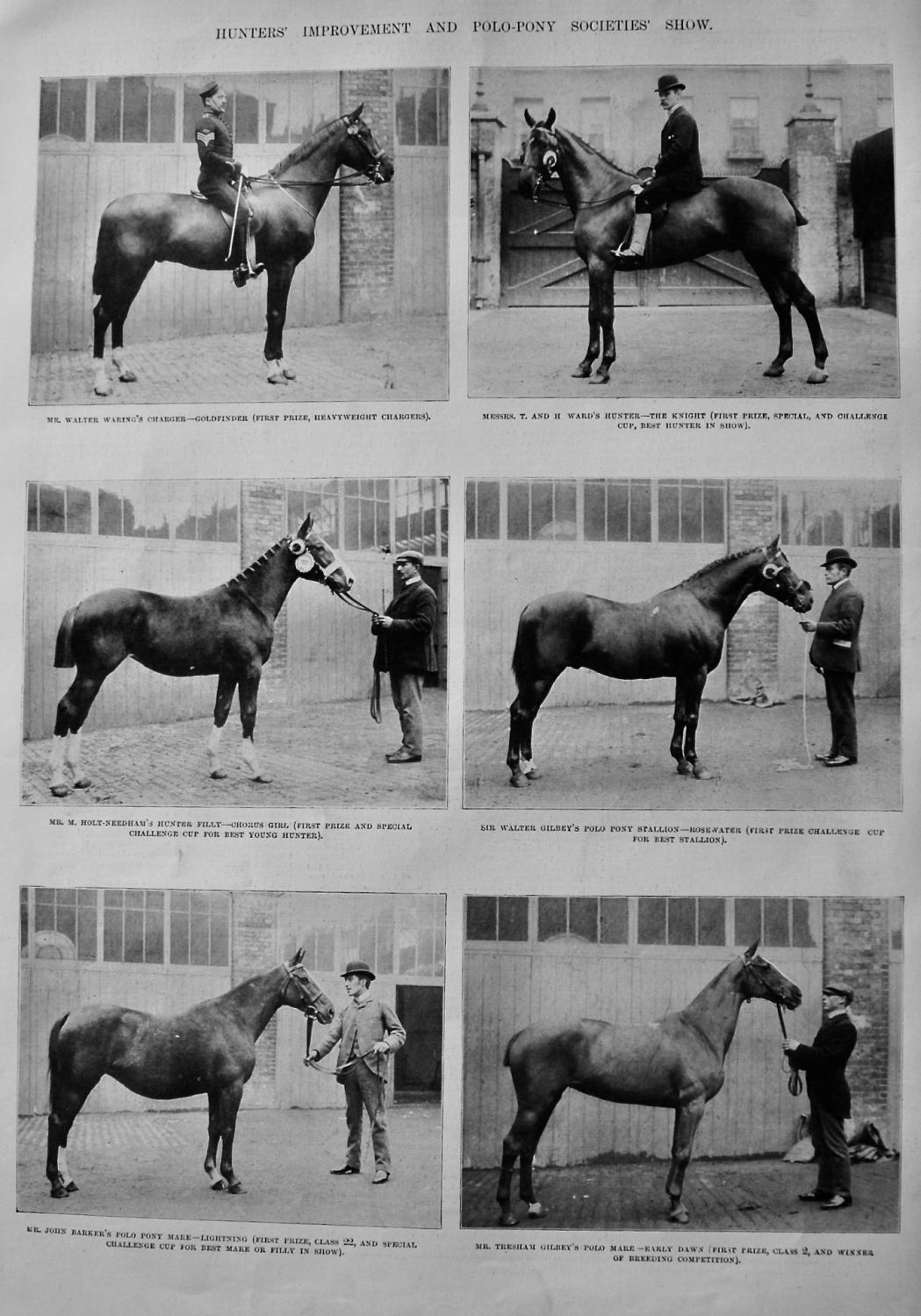 Hunters' Improvement and Polo-Pony Societies' Show.  1900.