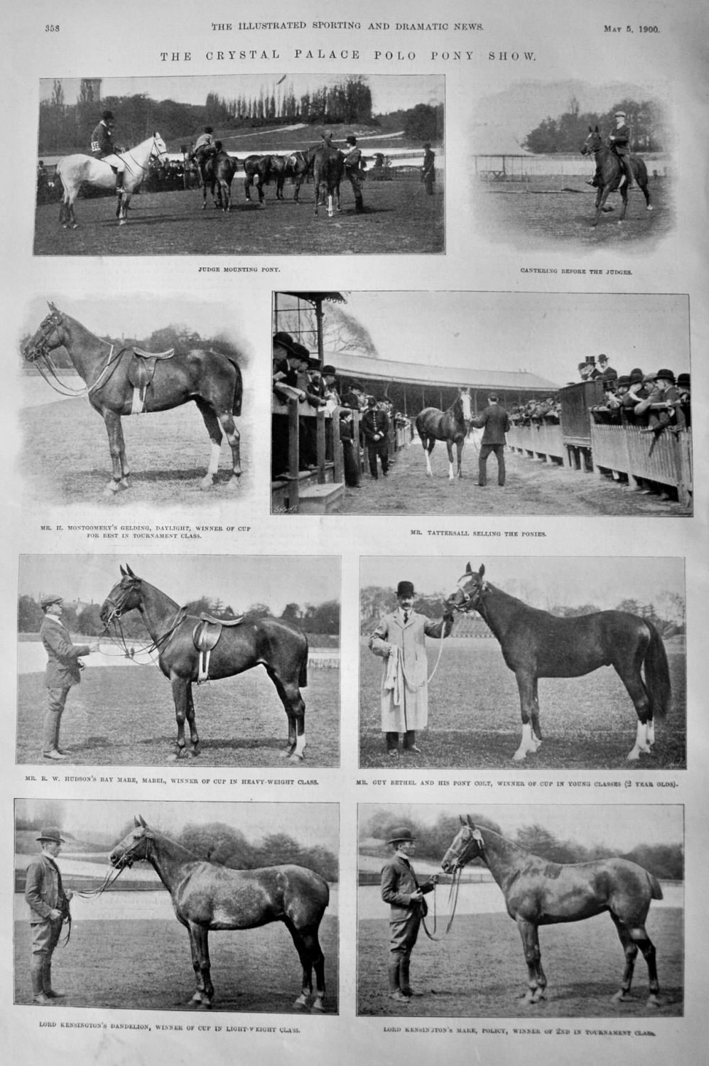 The Crystal Palace Polo Pony Show.  1900.