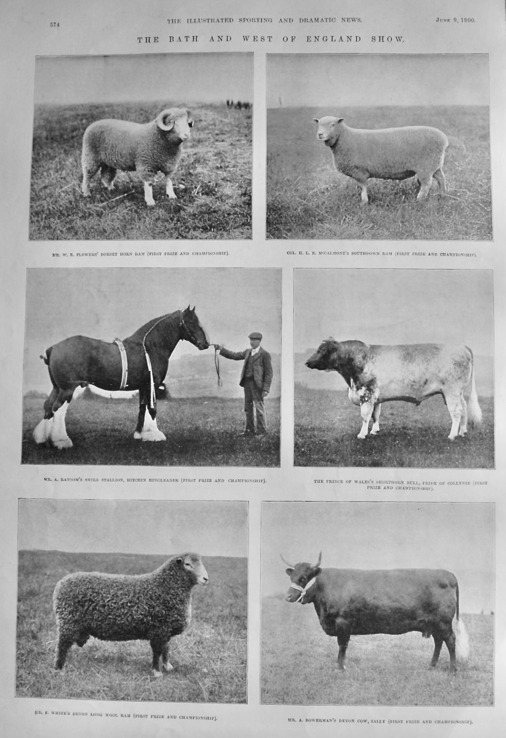 The Bath and West of England Show.  1900.