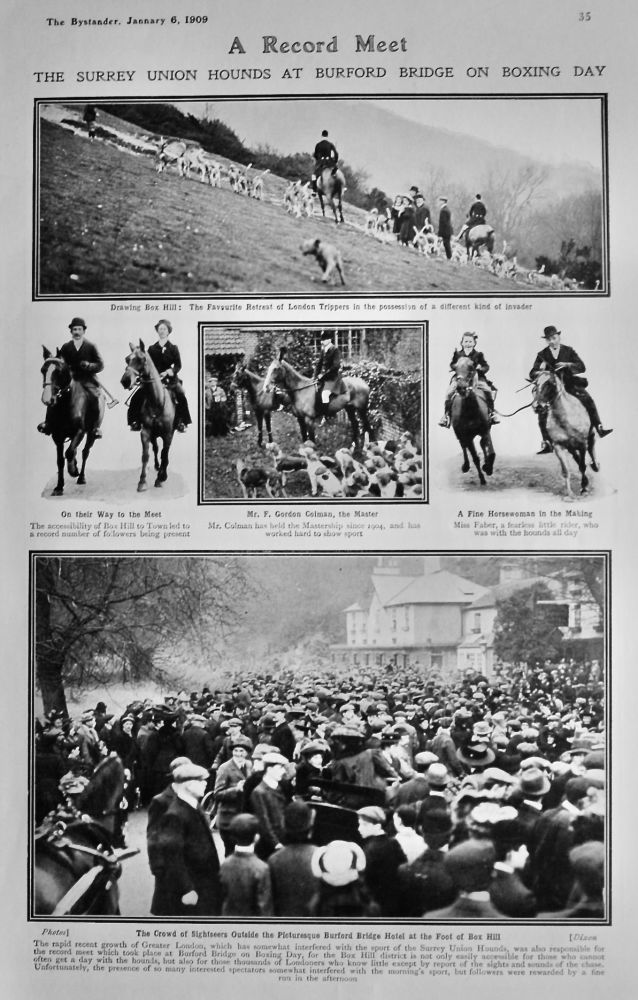 A Record Meet : The Surrey Union Hounds at Burford Bridge on Boxing Day.  1909.