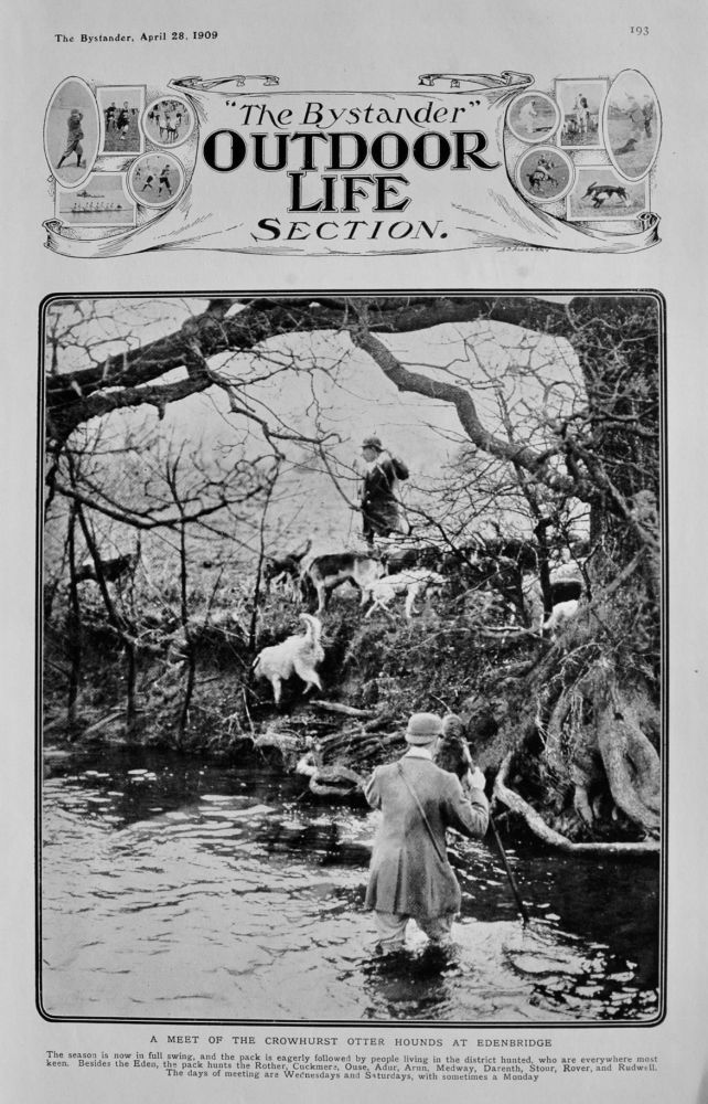A Meet of the Crowhurst Otter Hounds at Edenbridge.  1909.