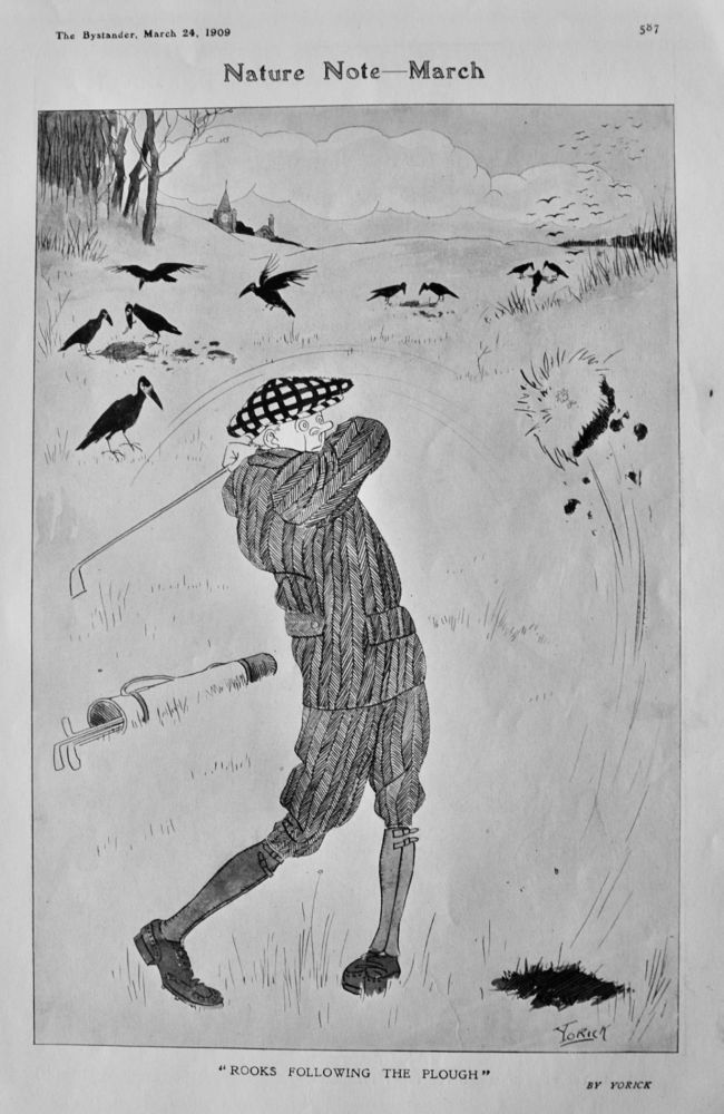 Nature Note - March :  "Rooks Following the Plough".  1909.