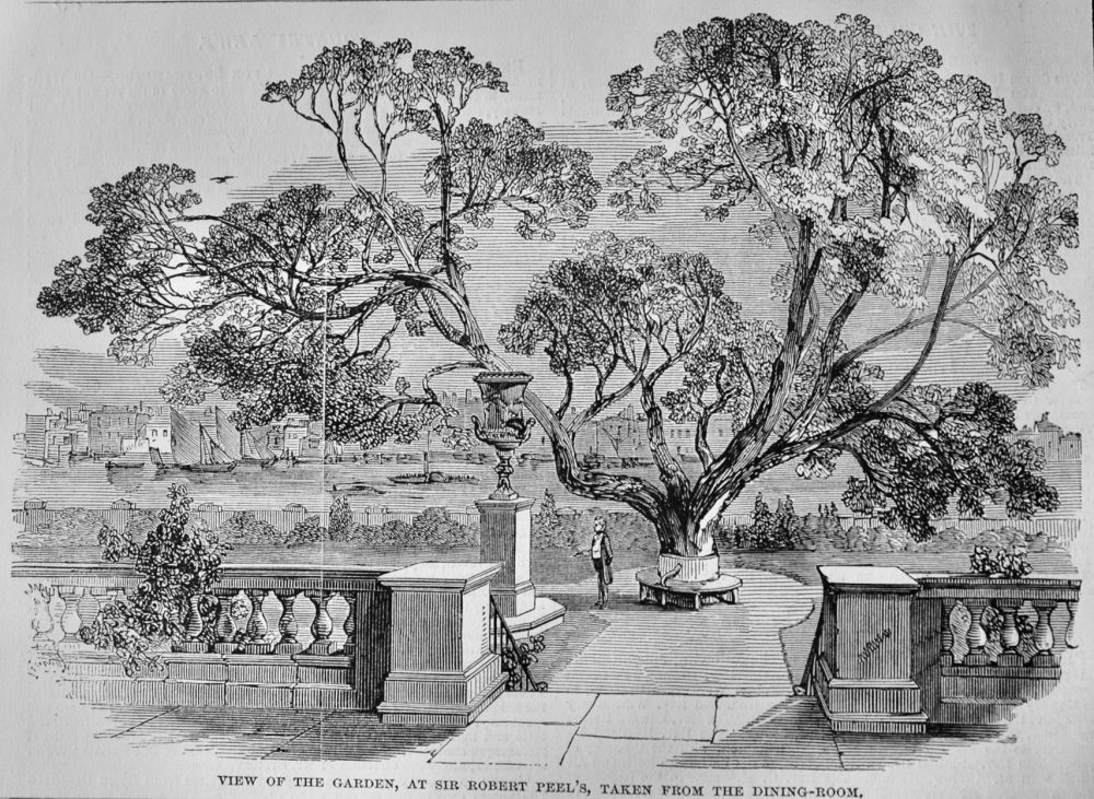 View of the Garden, at Sir Robert Peel's, taken from the Dining-Room.  1850
