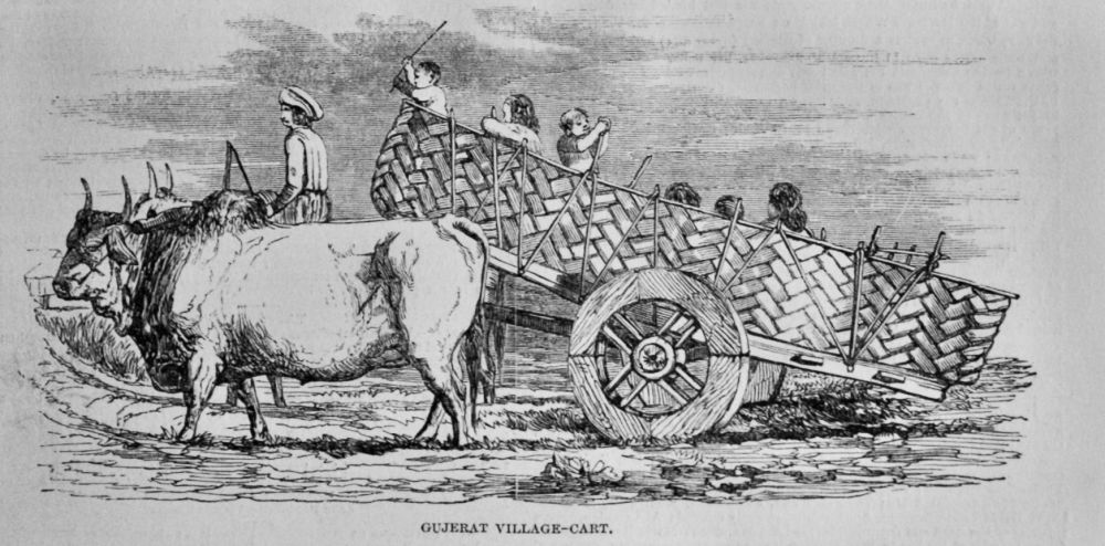 Gujerat  Village-Cart.  1850.