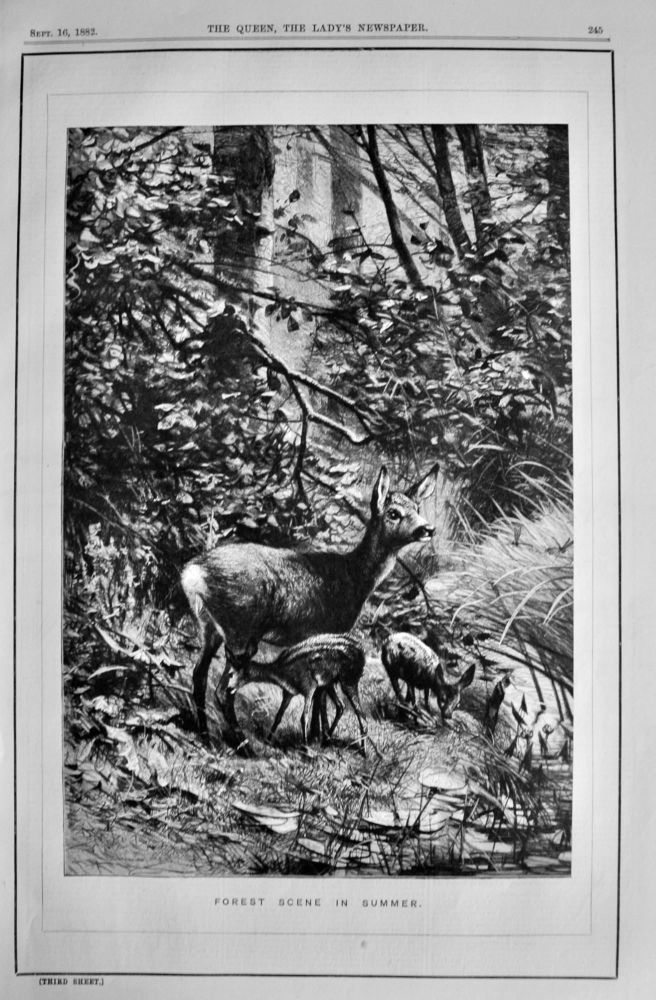 Forest Scene in Summer. 1882.