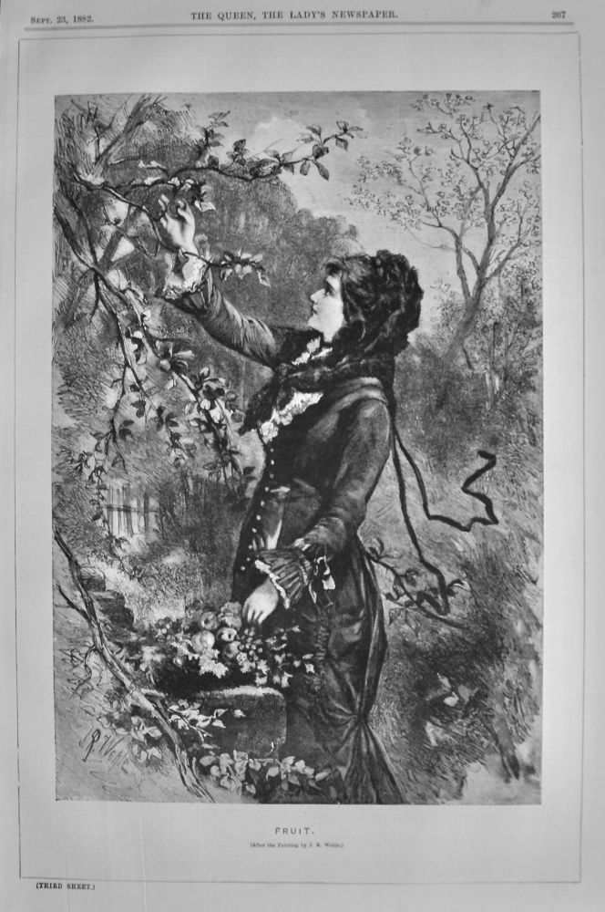 Fruit.  (From the Painting by J. R. Wehle.) 1882.