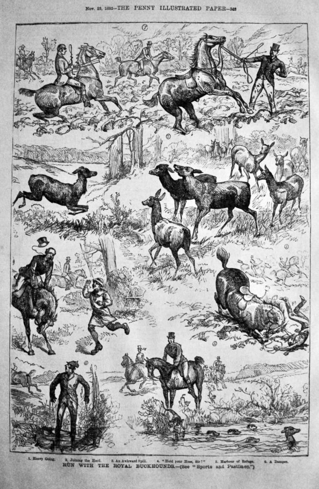 Run with the Royal Buckhounds.  1882.