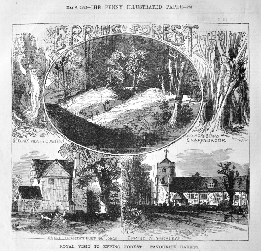 Royal Visit to Epping Forest :  Favourite Haunts.  1882.