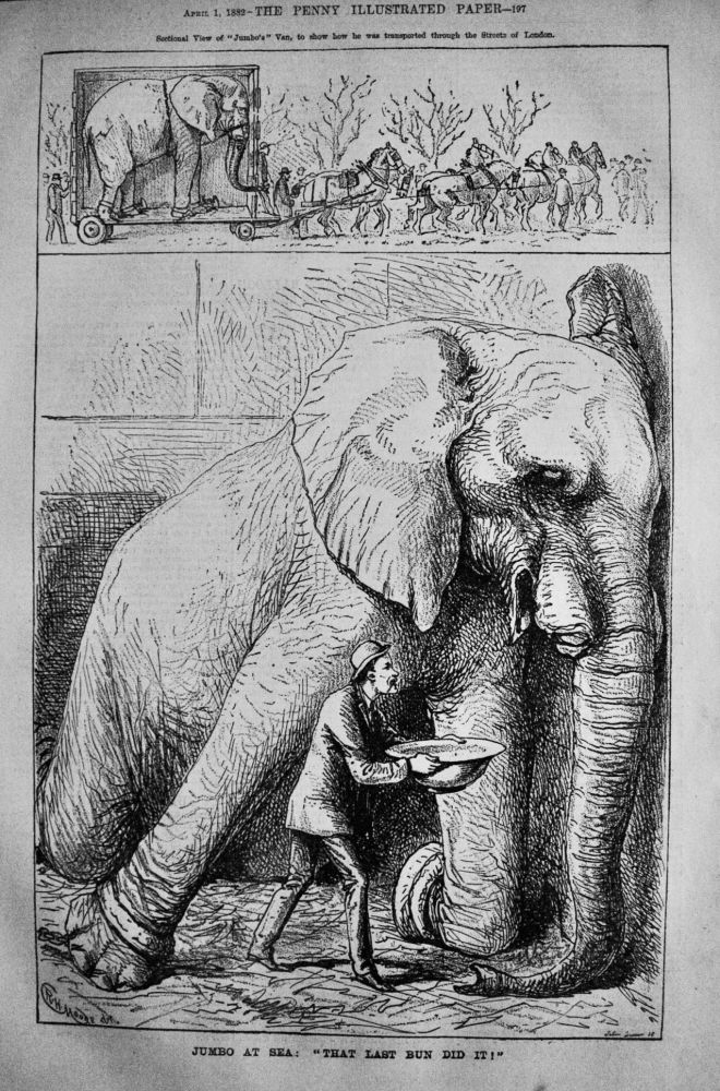 Jumbo at Sea :  "That Last Run Did It !".  (Jumbo the Elephant).  1882.