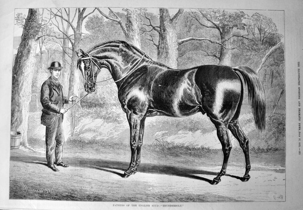 Fathers of the English Stud- "Thunderbolt."  1875.