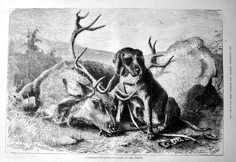 A Bavarian Slot-Hound in Charge of the Venison.  1875.