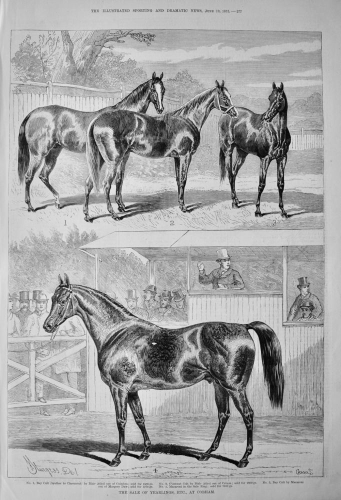 The Sale of Yearlings, Etc., at Cobham.  1875.