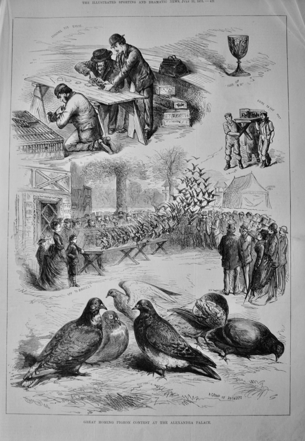 Great Homing Pigeon Contest at the Alexandra Palace.  1875.