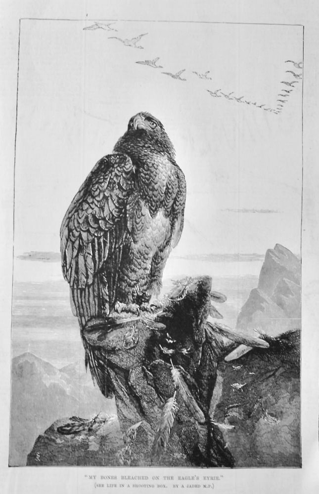 My Bones Bleached on the Eagle's Eyrie."  1875.