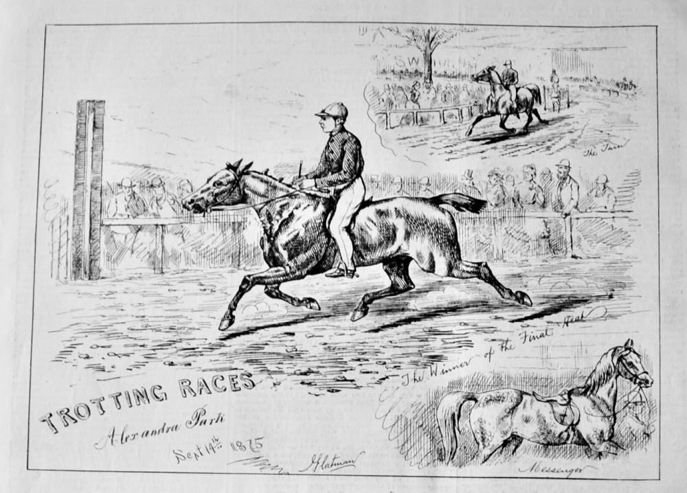 Trotting Races, Alexandra Park  September 14th, 1875.