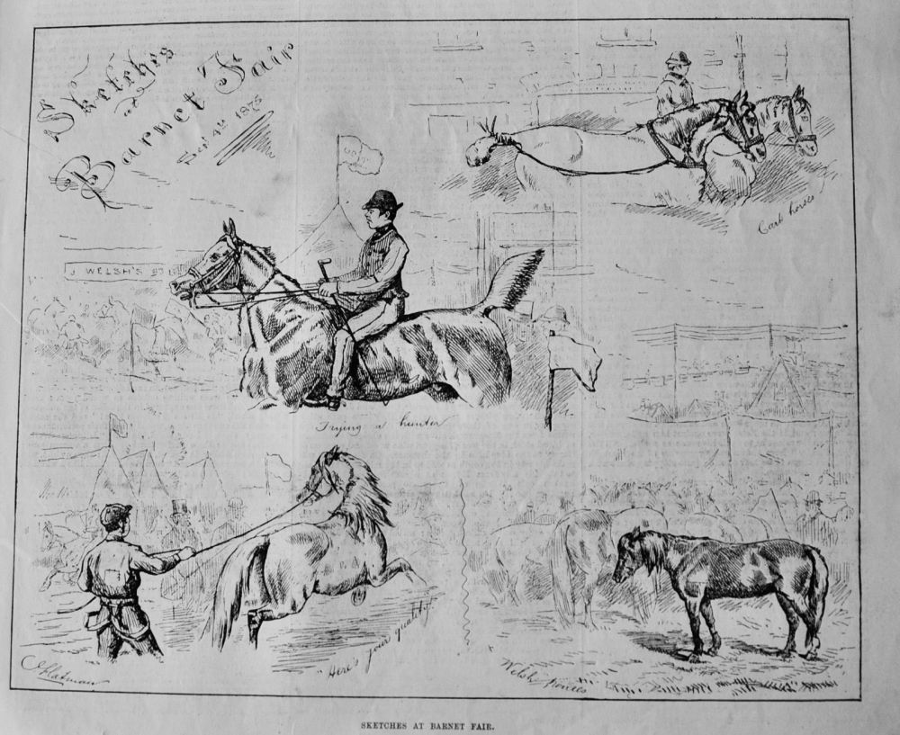 Sketches at Barnet Fair Sept. 4th. 1875.