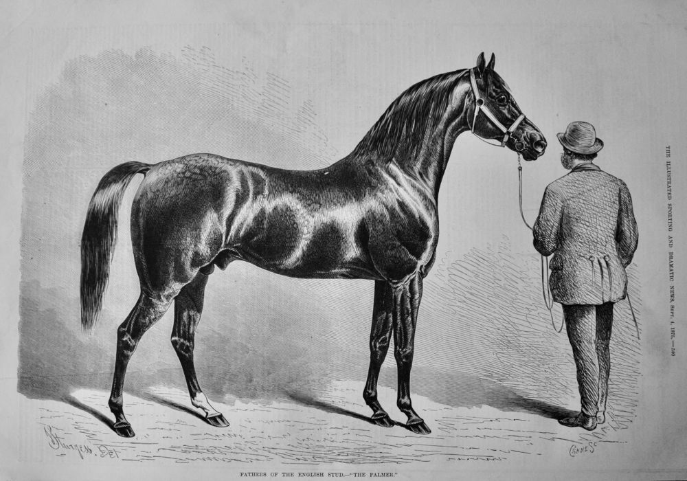 Fathers of the English Stud.- "The Palmer."  1875.