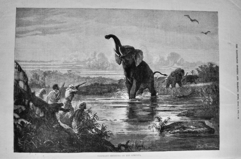 Elephant Shooting on the Limpopo.  1875.
